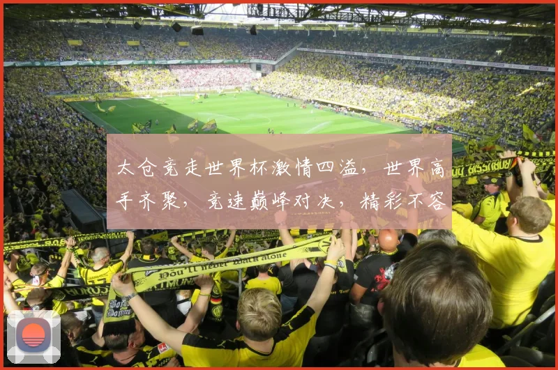 太仓竞走世界杯激情四溢，世界高手齐聚，竞速巅峰对决，精彩不容错过