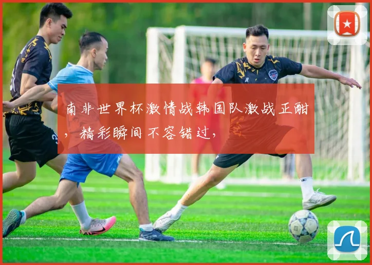 南非世界杯激情战韩国队激战正酣，精彩瞬间不容错过，